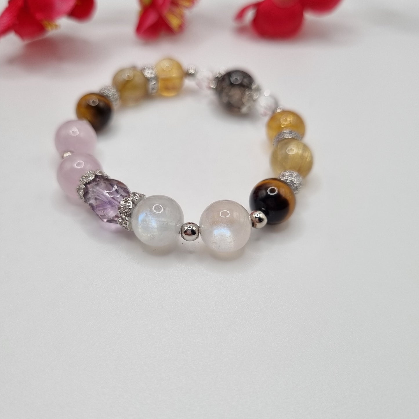 The Trustworthy and Honest Dog